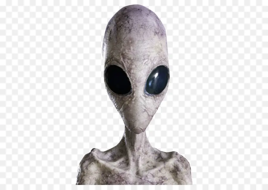 Étranger，Extra Terrestre PNG