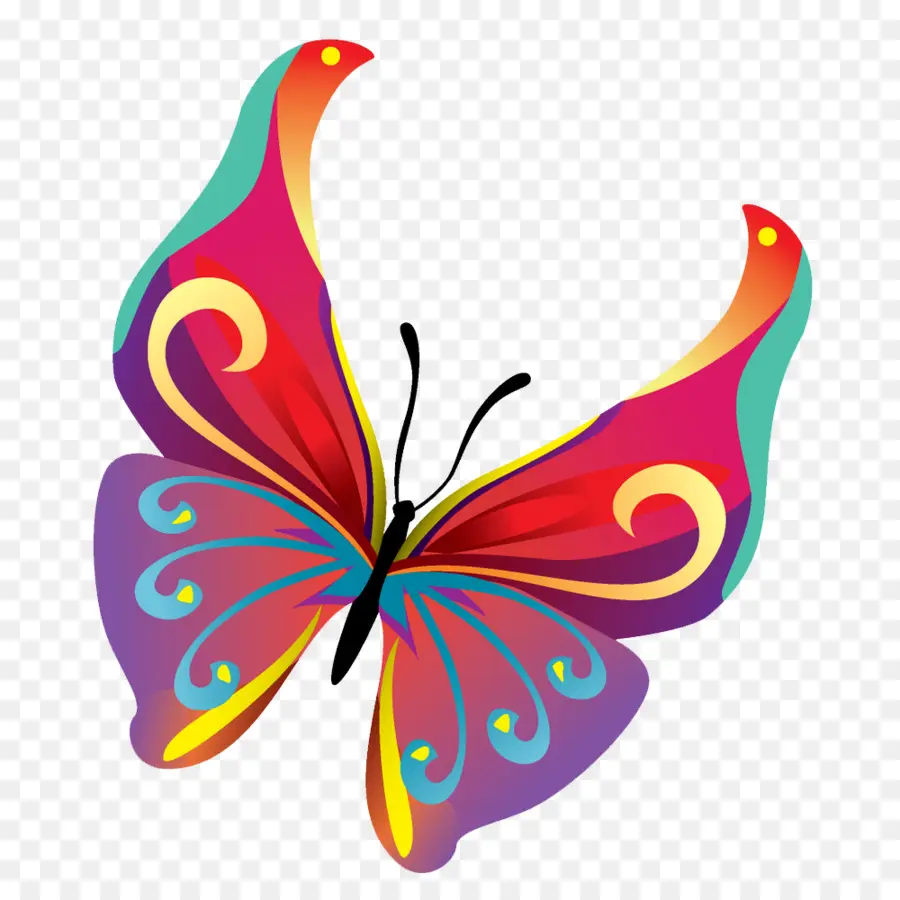 Papillon，Adobe Illustrator PNG