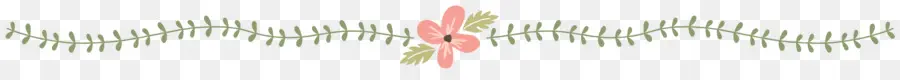 Diviseur Floral，Fleur PNG