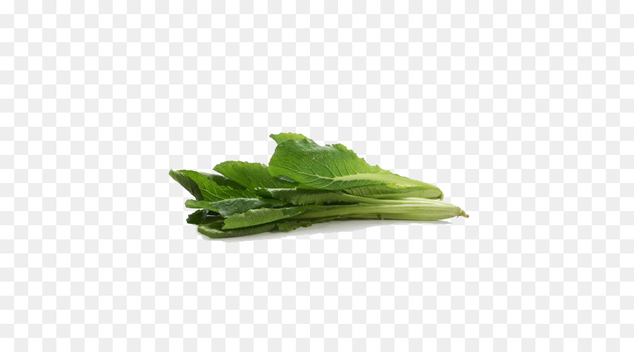 Bok Choy，Vert PNG