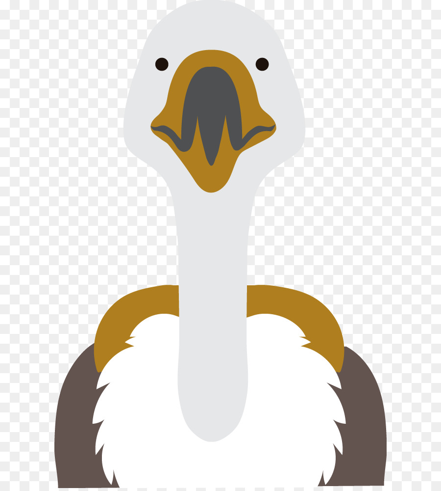 Commune De Autruche，Canard PNG