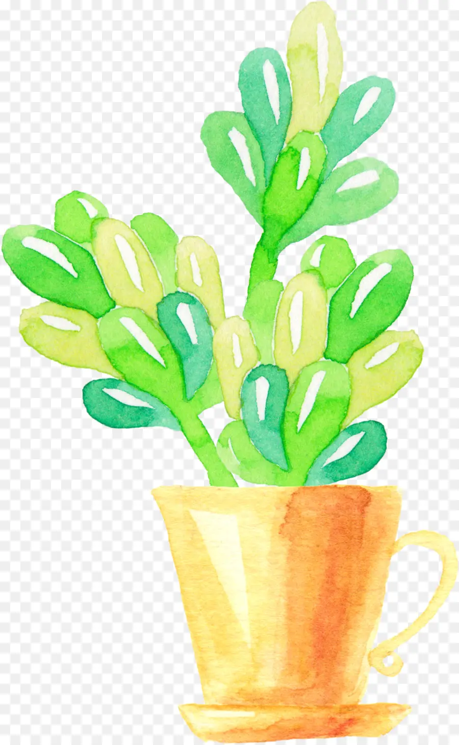 Plante En Pot，Succulent PNG