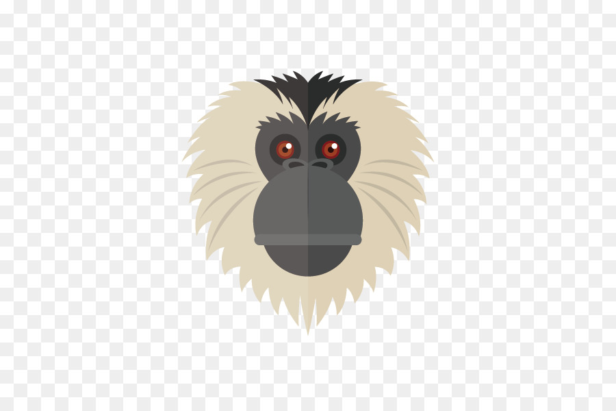 Visage De Singe，Singe PNG