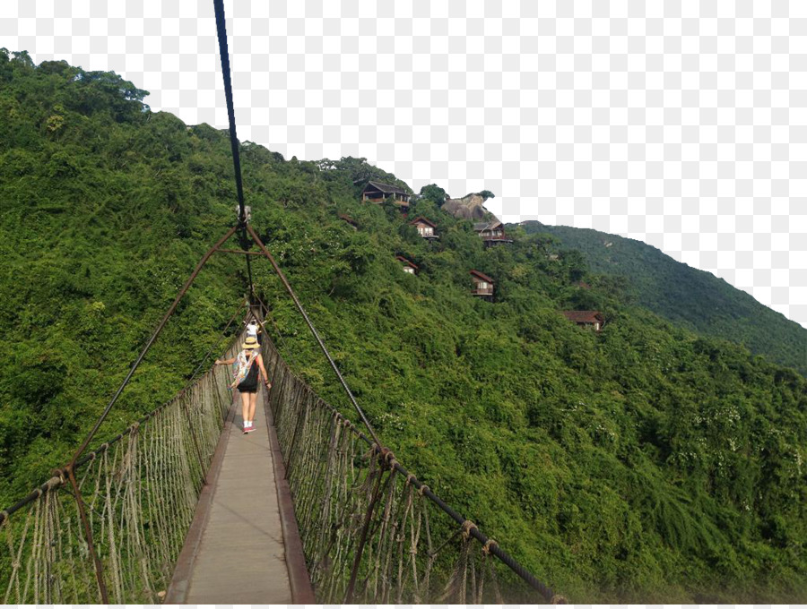 Pont Suspendu，Forêt PNG