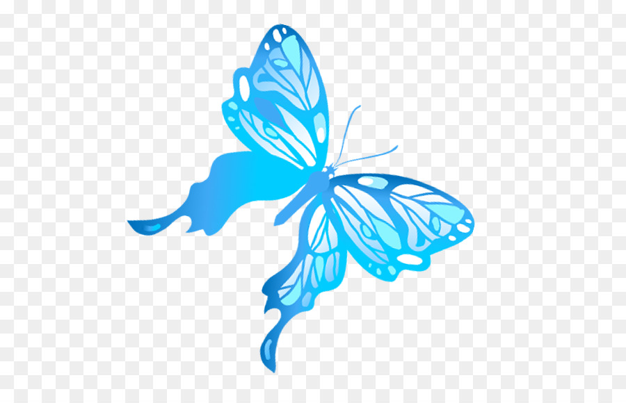 Papillon Bleu，Ailes PNG