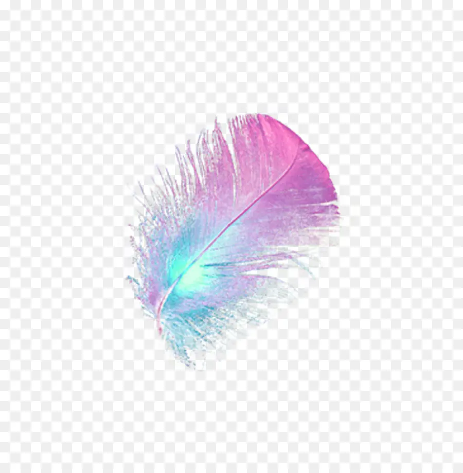 Plume Colorée，Rose PNG