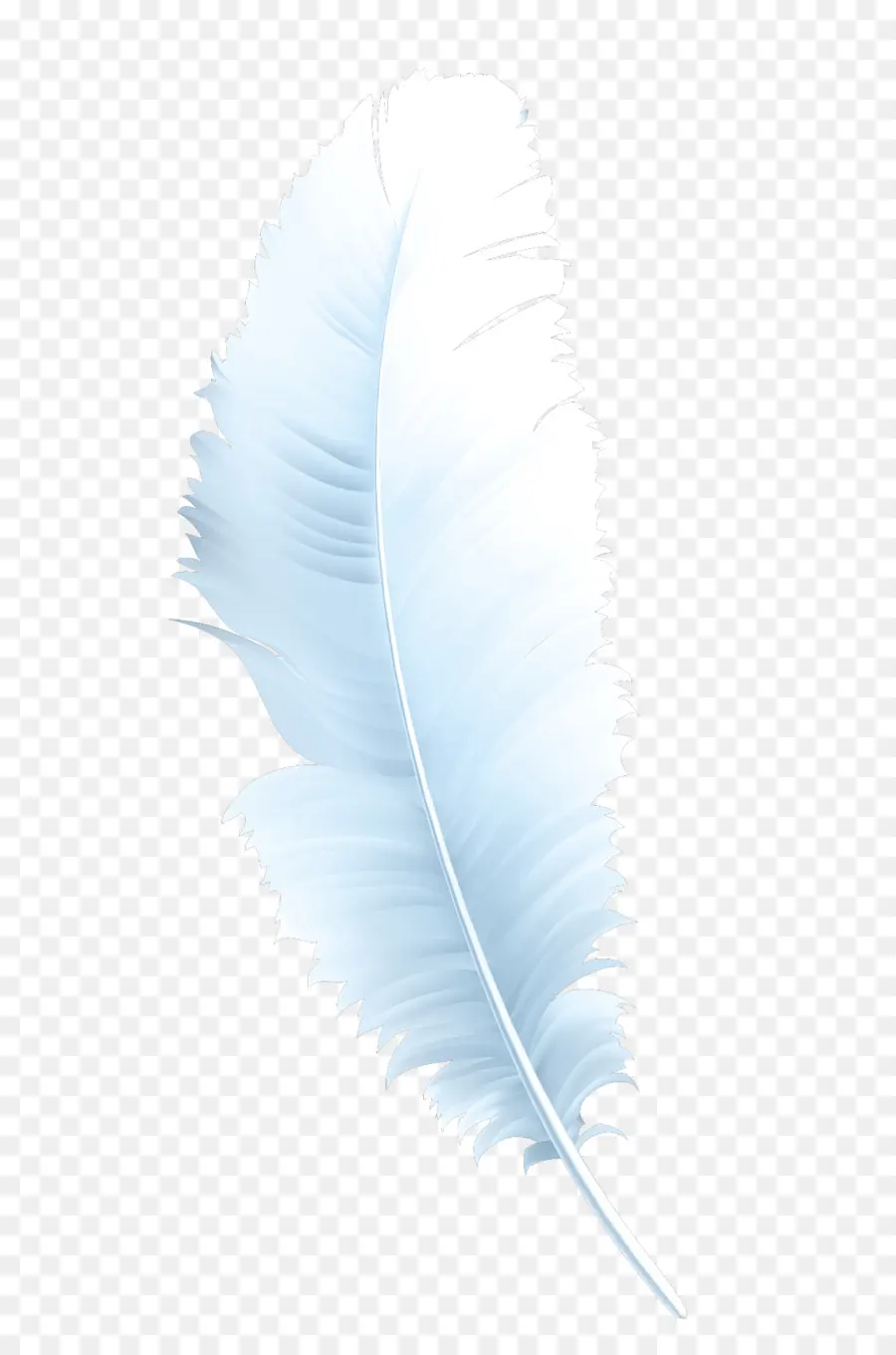 Plume Blanche，Doux PNG