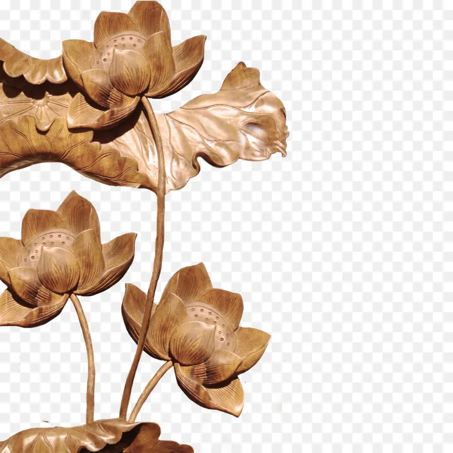 Fleurs De Lotus En Bois，Lotus PNG