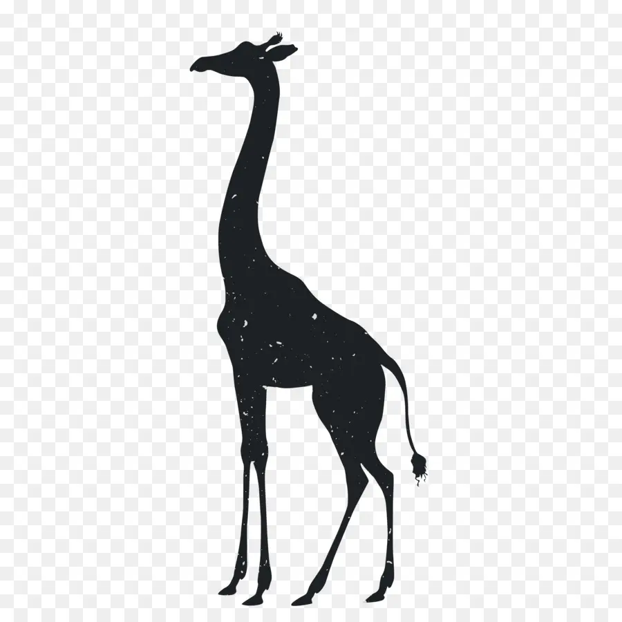 Silhouette De Girafe，Grand PNG