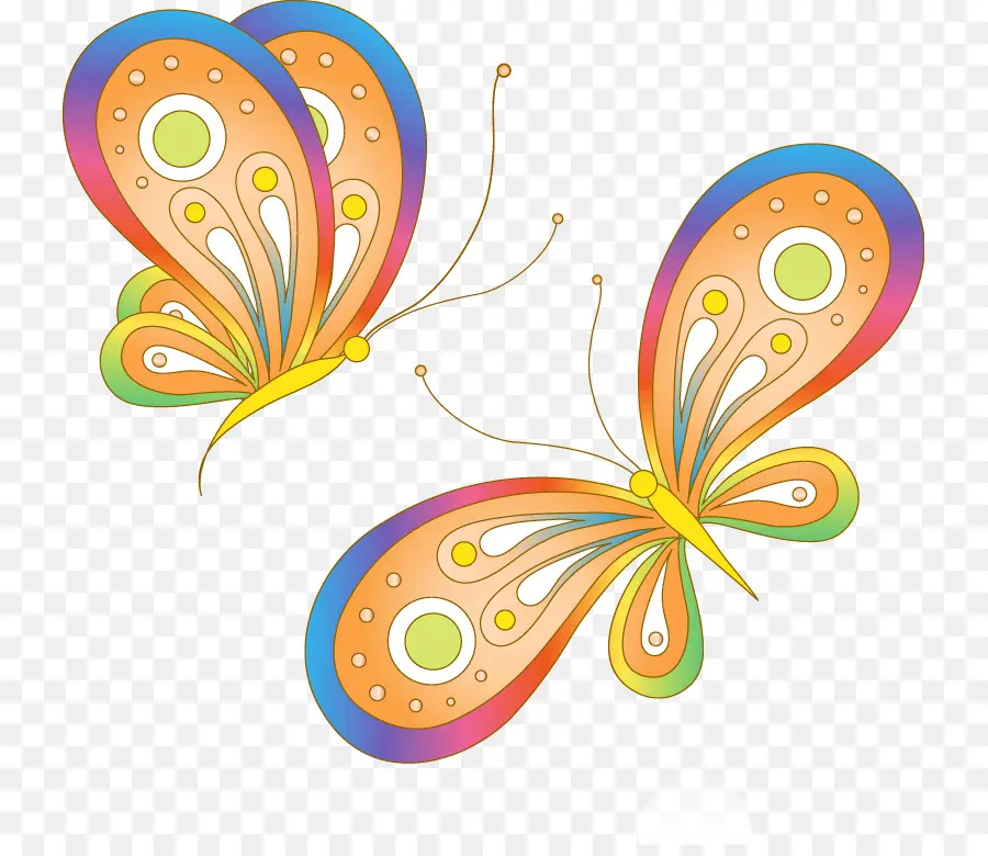 Papillon，Dessin PNG