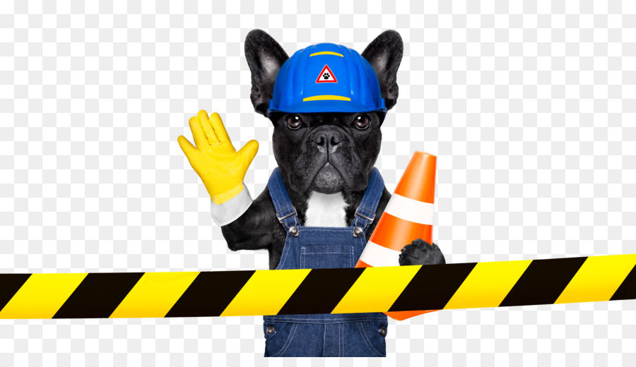 Chien，Construction PNG