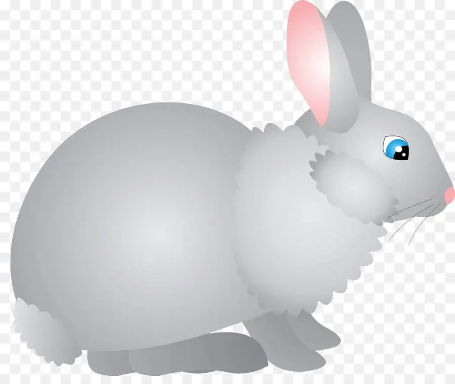 Lapin Gris，Lapin PNG