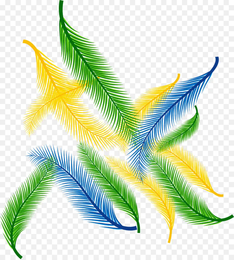 Plumes Colorées，Feuilles PNG