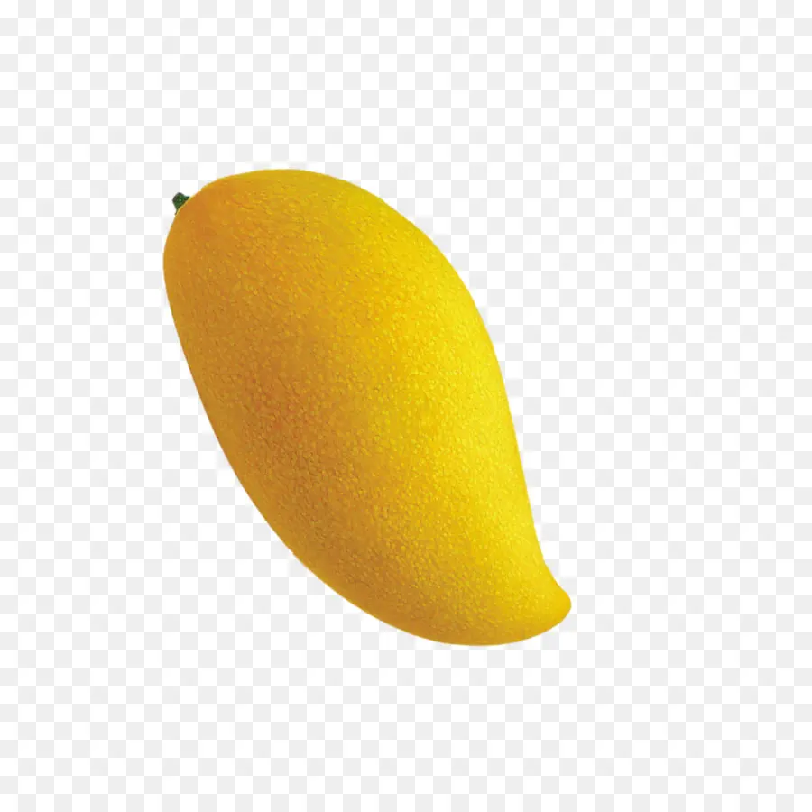 La Mangue，Designer PNG