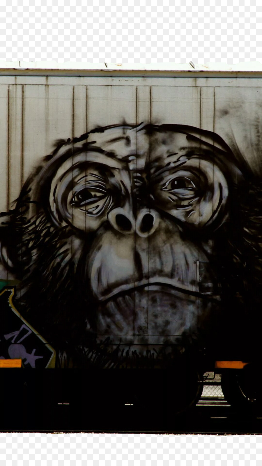 Graffitis De Singe，Singe PNG