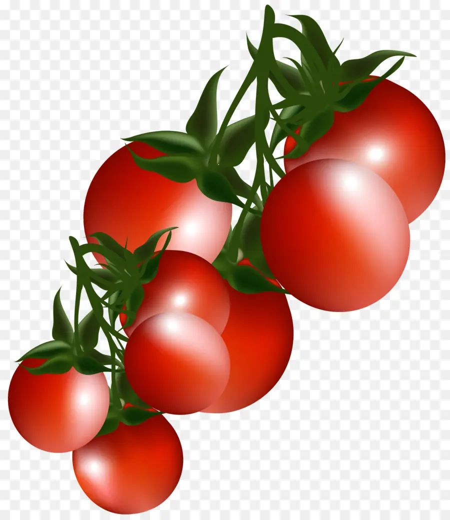 Tomate Cerise，Tomates Roma PNG