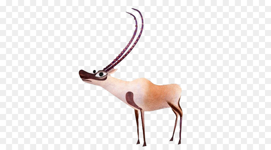 Antilope，Faune PNG