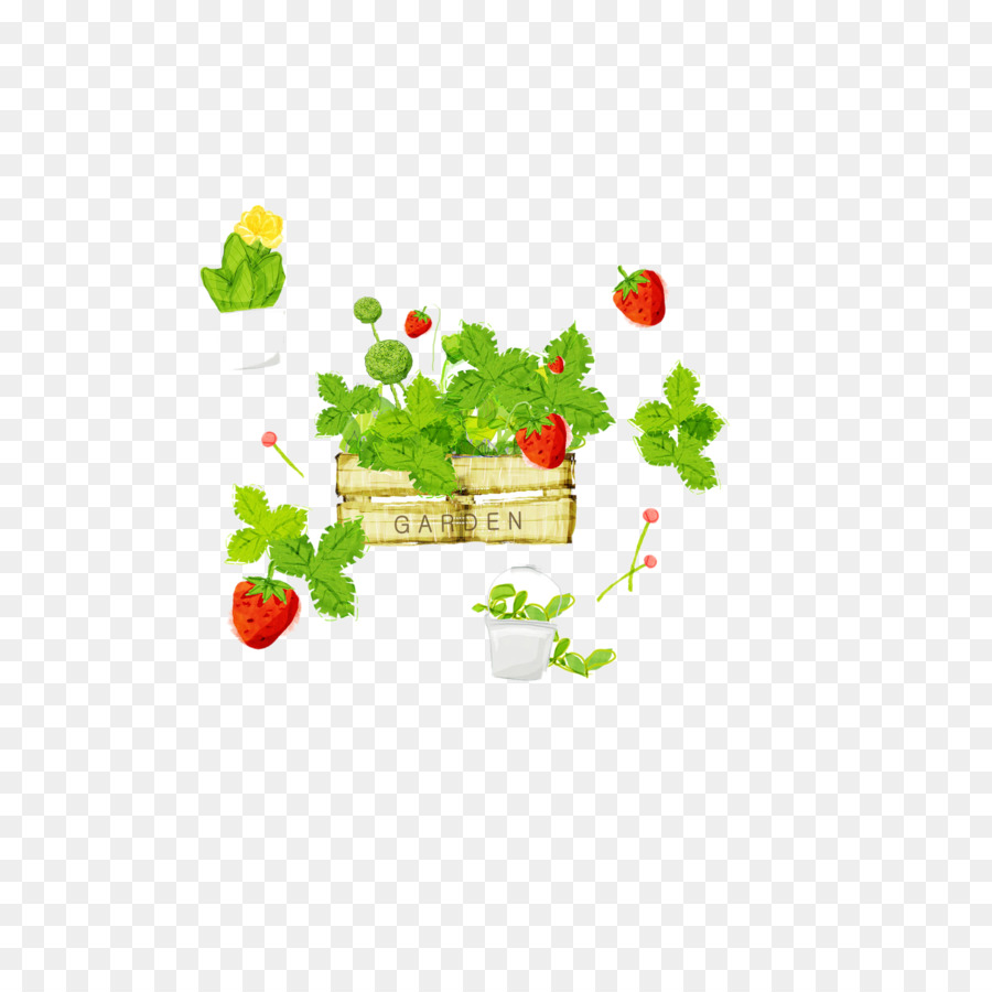 Fraisier，Jardin PNG