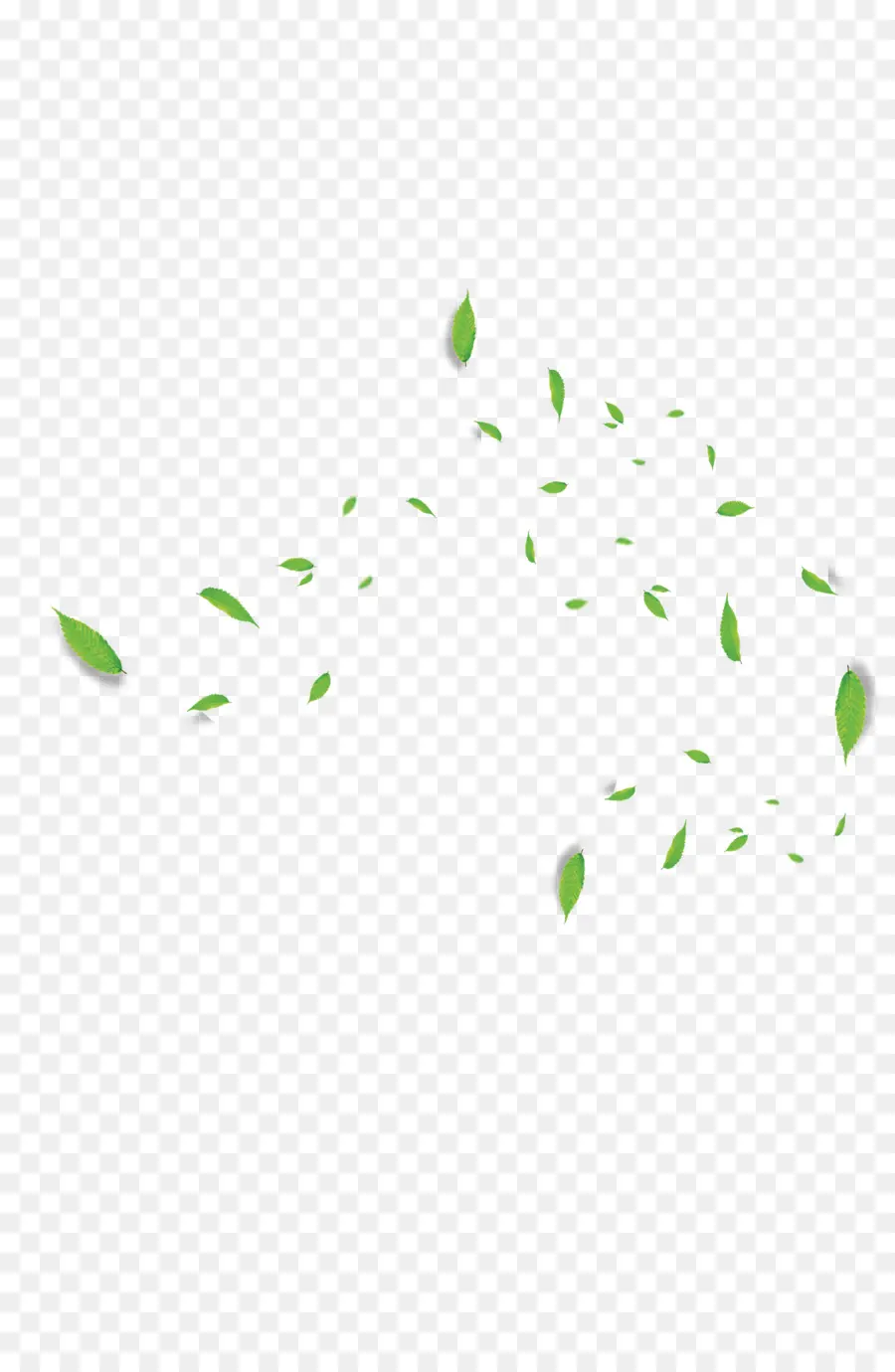 Feuilles Vertes，Feuilles PNG