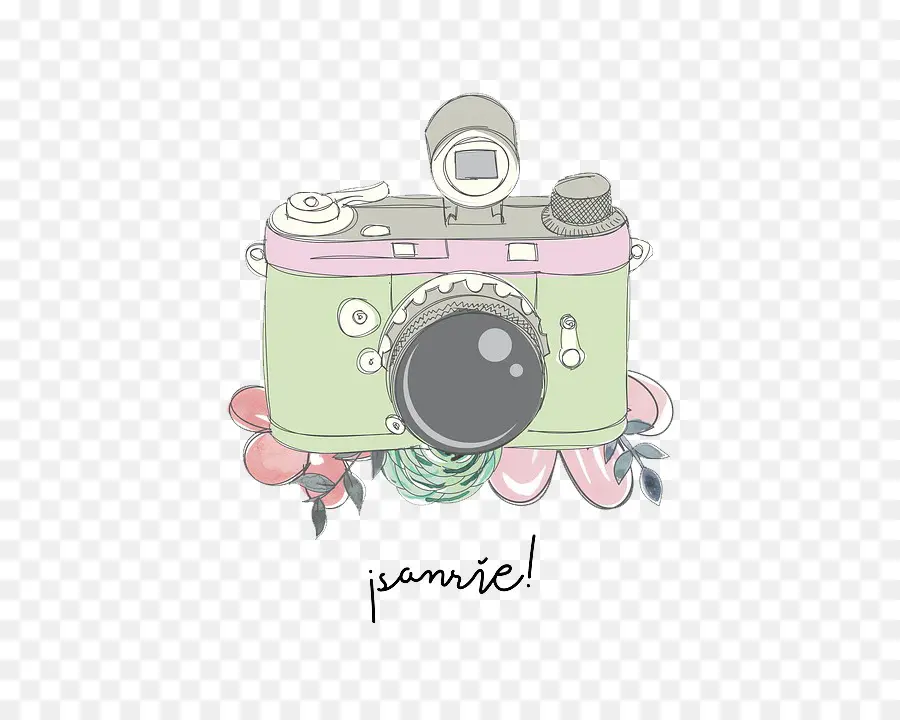 Appareil Photo Vintage，Fleurs PNG