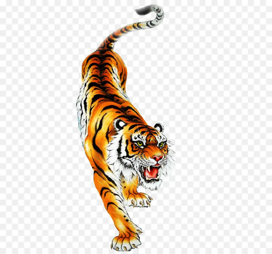 Tigre，Royaltyfree PNG