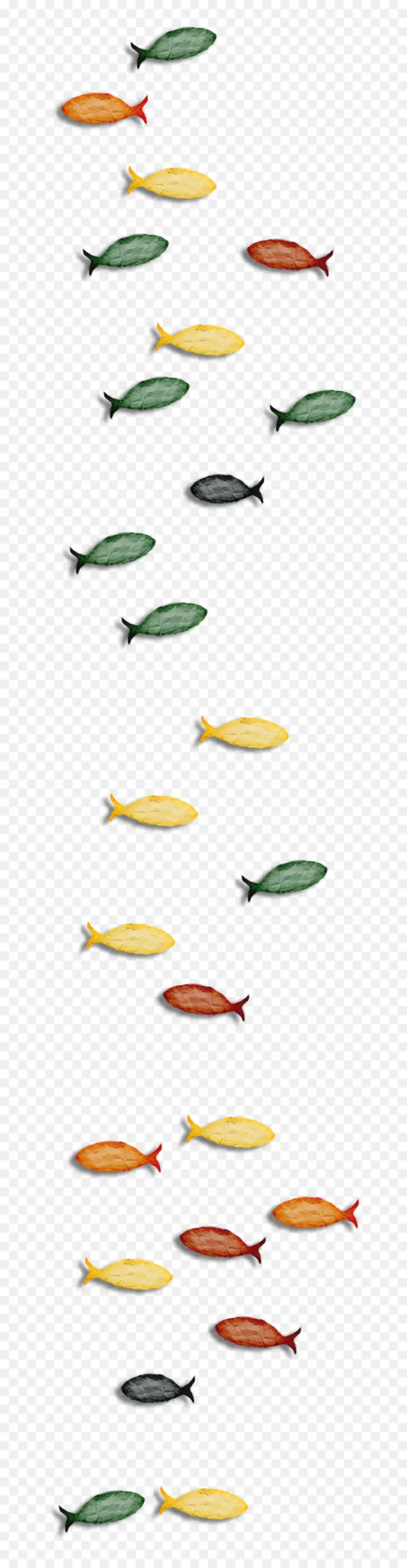 Poisson Coloré，Modèle PNG