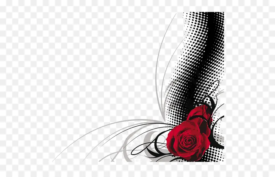 Roses Rouges，Noir PNG