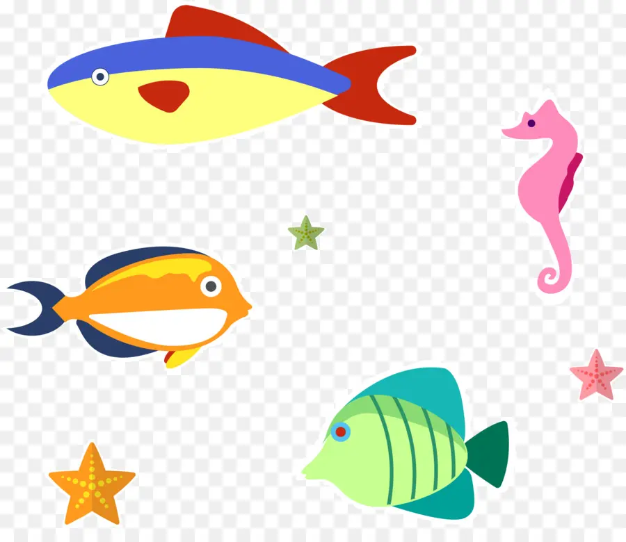 Poisson Et Hippocampe，Coloré PNG