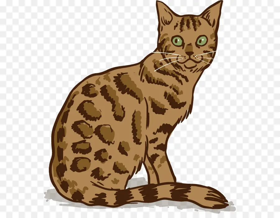 Chat Brun，Animal De Compagnie PNG