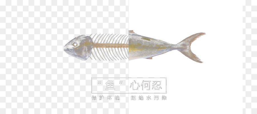 Squelette De Poisson，Demi Poisson PNG