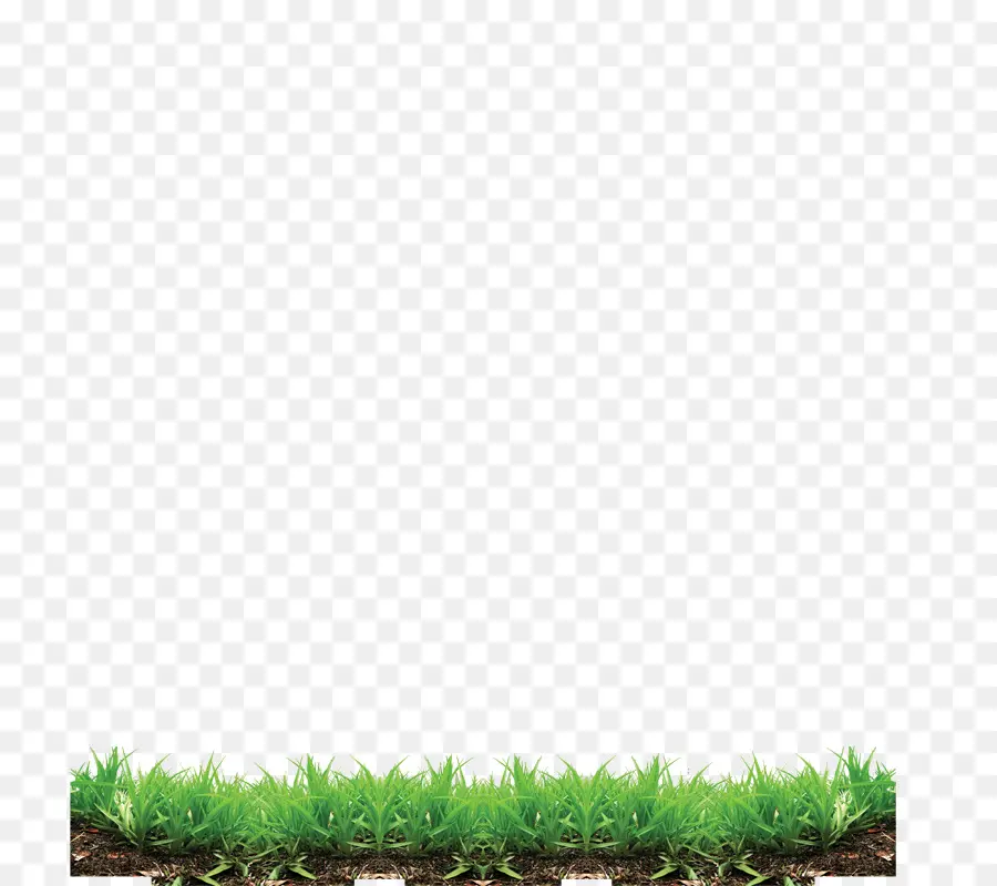 Herbe Verte，Sol PNG