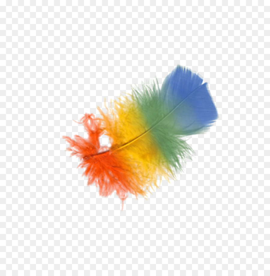 Plume Colorée，Arc En Ciel PNG