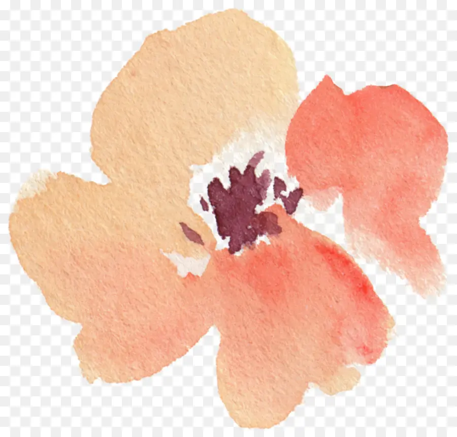 Fleur Aquarelle，Peinture PNG