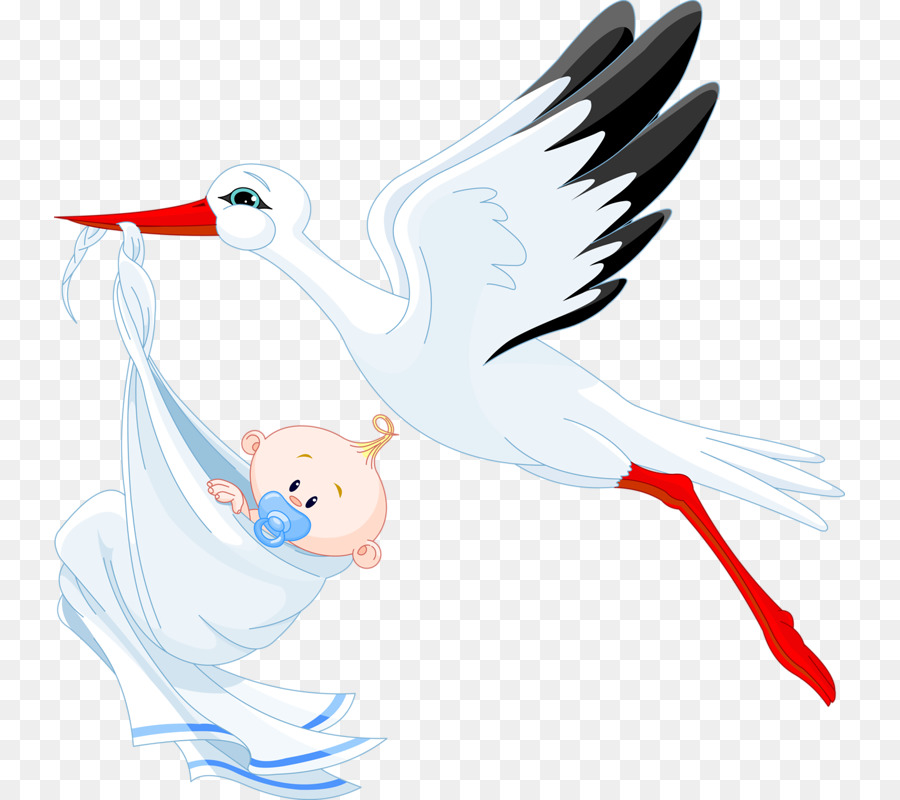 La Cigogne Blanche Cigogne Bebe Png La Cigogne Blanche Cigogne Bebe Transparentes Png Gratuit