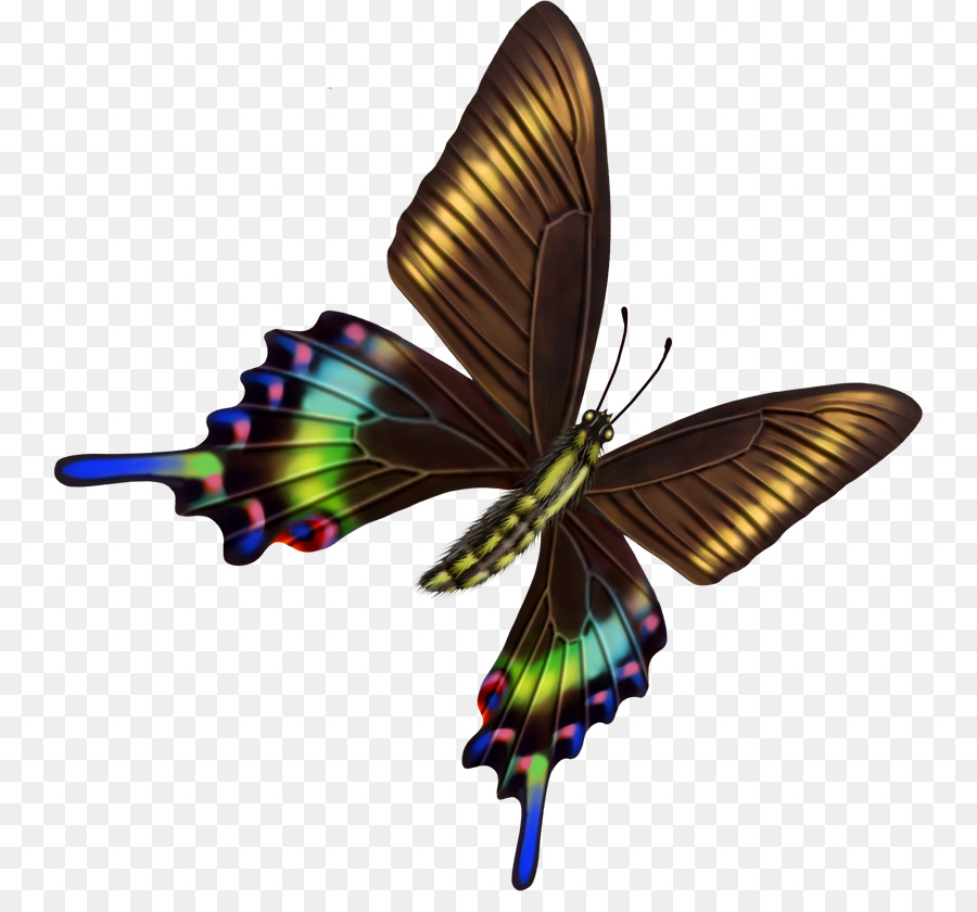 Papillon，La Psychologie PNG