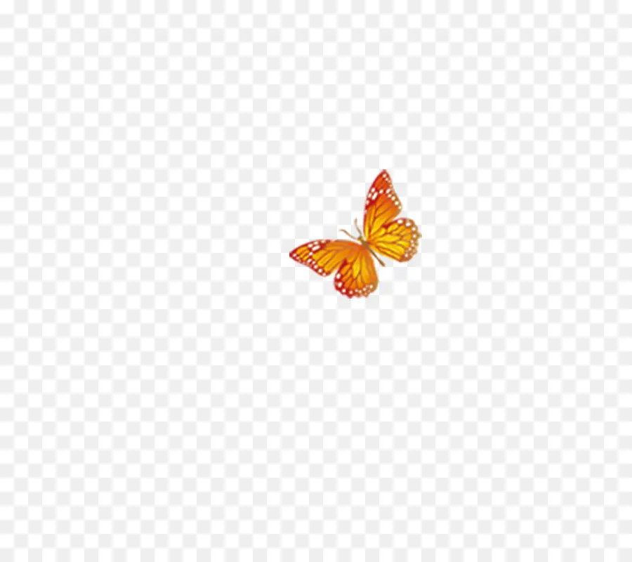 Papillon，Pollinisateurs PNG