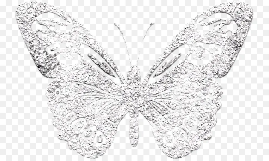 Papillon，Argent PNG