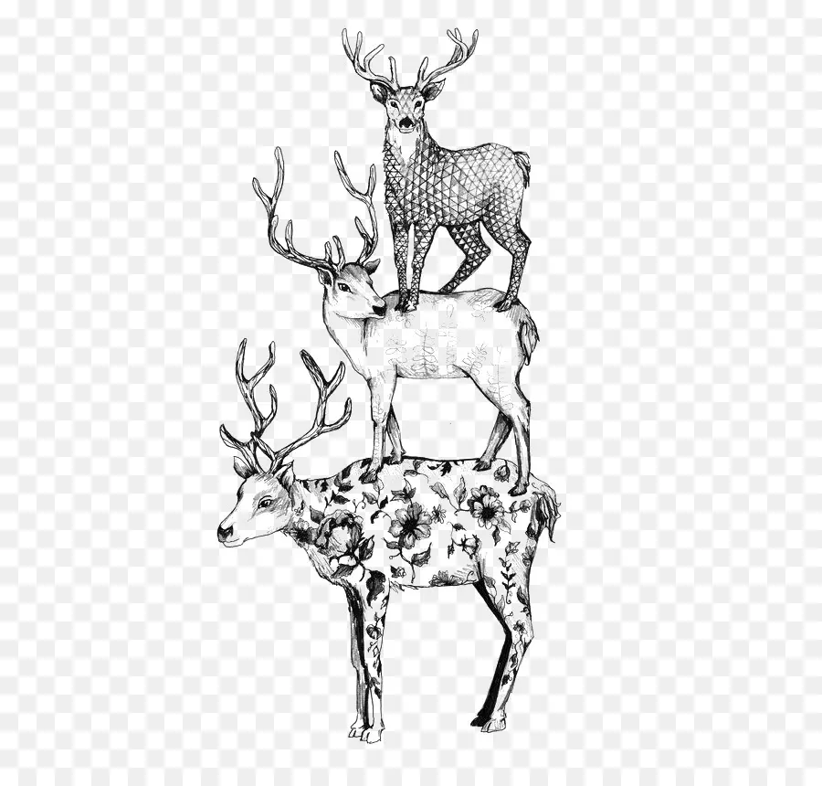 Cerf，Noir Et Blanc PNG