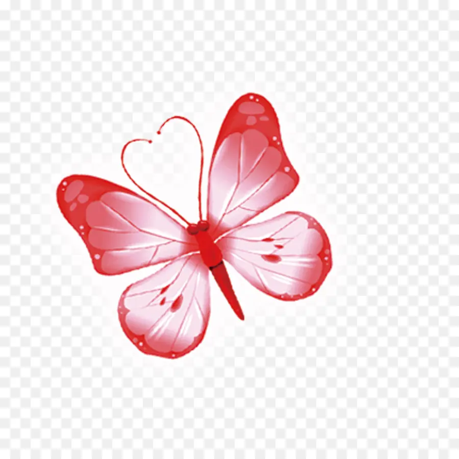 Papillon Rouge，Ailes PNG