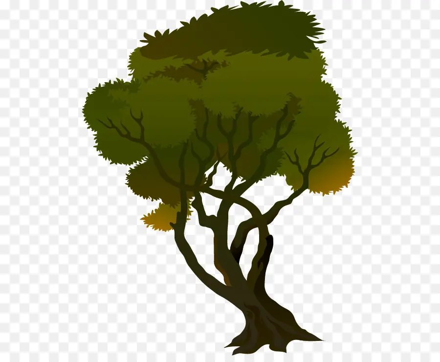 Arbre，Succursales PNG