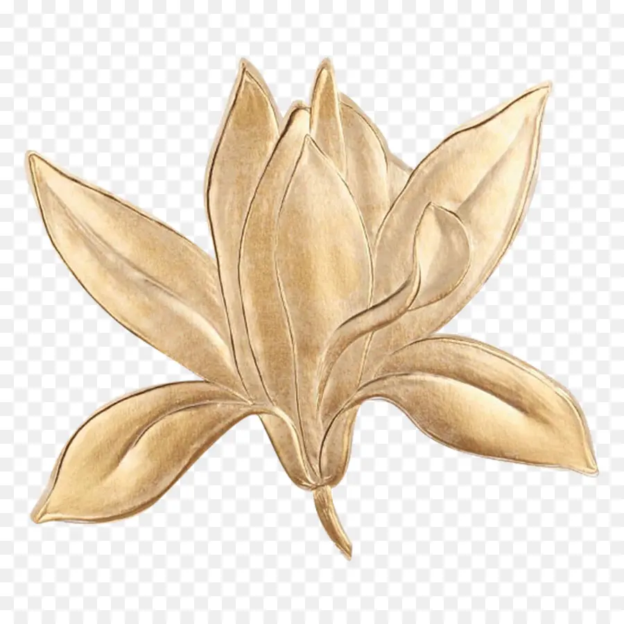 Fleur D'or，Métallique PNG