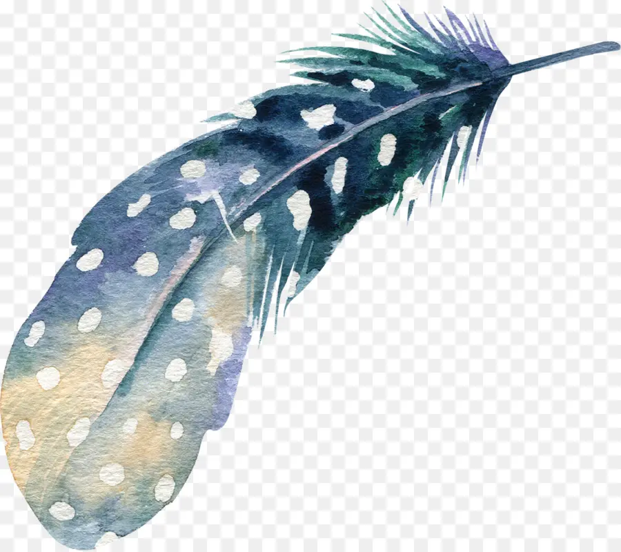 Plume，Bleu PNG