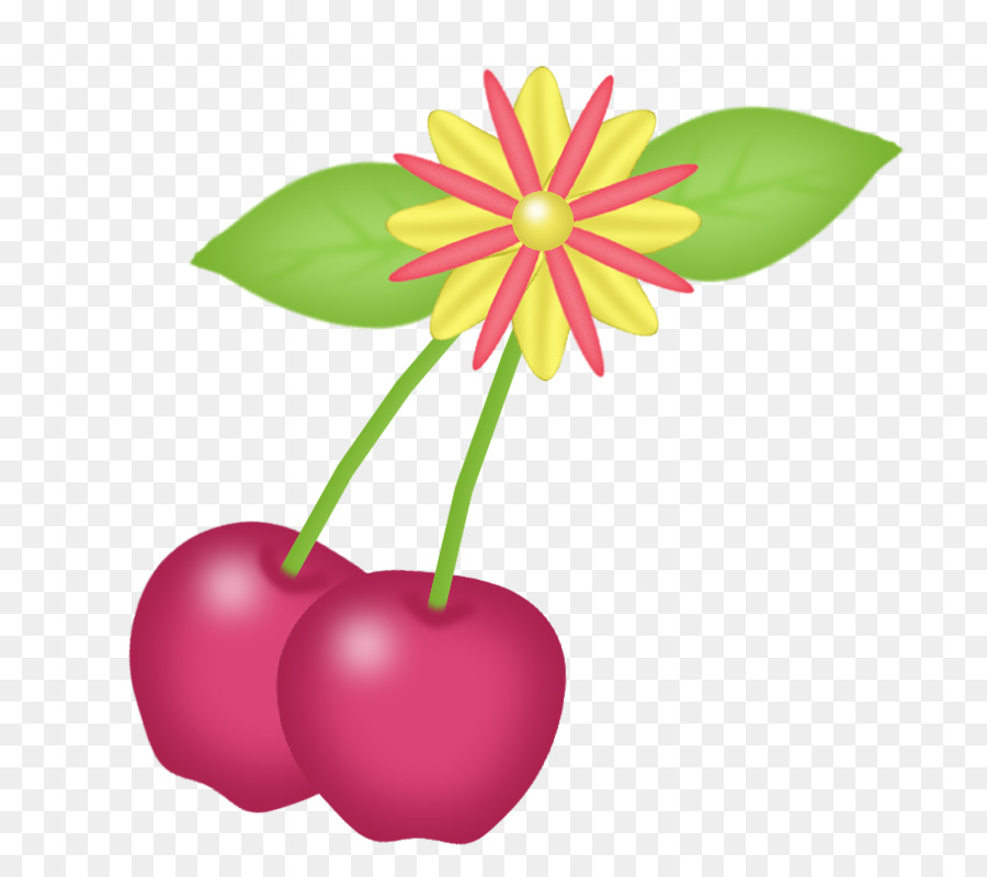 Cerise，Rose PNG