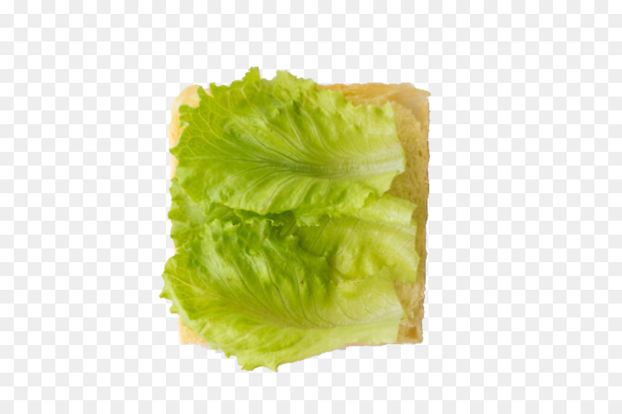 Laitue，Toast PNG