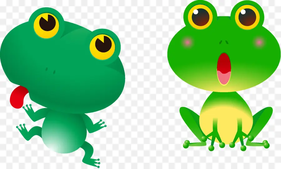 Grenouilles Vertes De Dessin Animé，Amphibie PNG