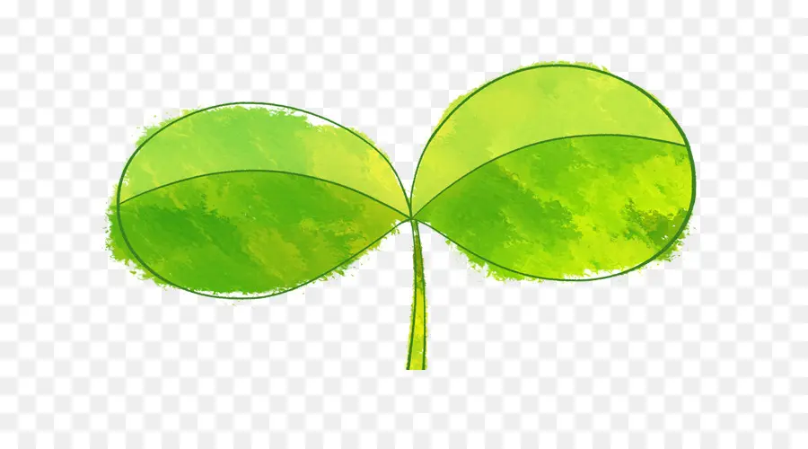 Feuilles，Vert PNG