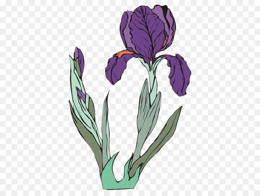 Violet，Orchidées PNG