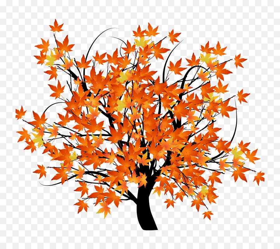 Arbre，Feuilles PNG