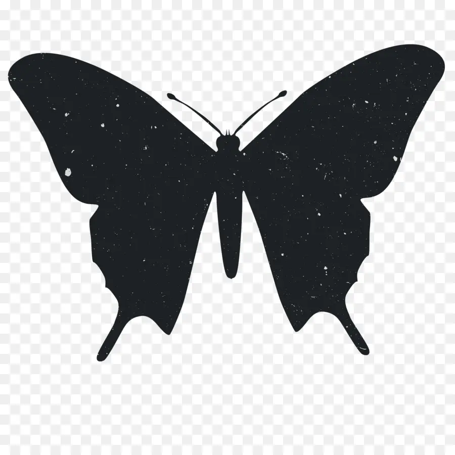 Silhouette De Papillon，Insecte PNG