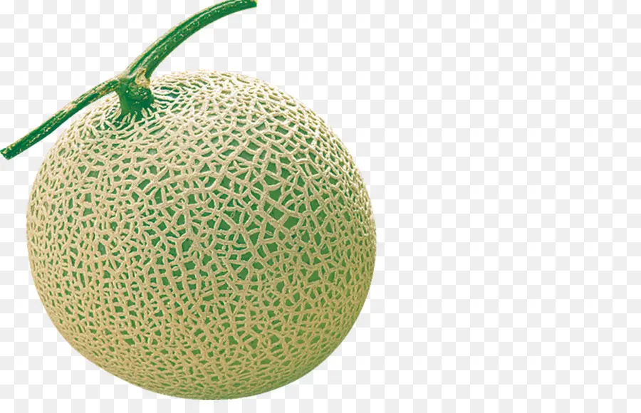 Melon，Vert PNG